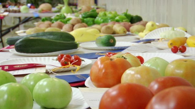 veggies with ribbons